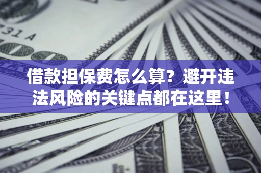 济南借款担保费怎么算？避开违法风险的关键点都在这里！