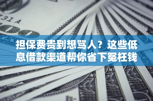 济南担保费贵到想骂人？这些低息借款渠道帮你省下冤枉钱