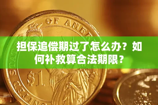 济南担保追偿期过了怎么办？如何补救算合法期限？