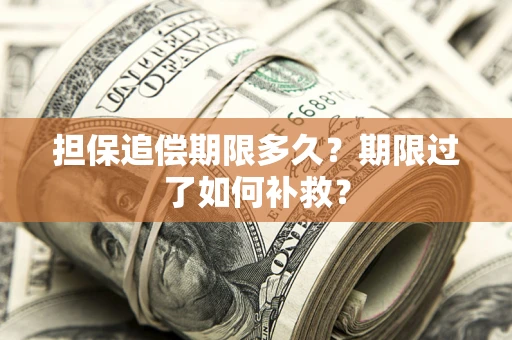 济南担保追偿期限多久？期限过了如何补救？