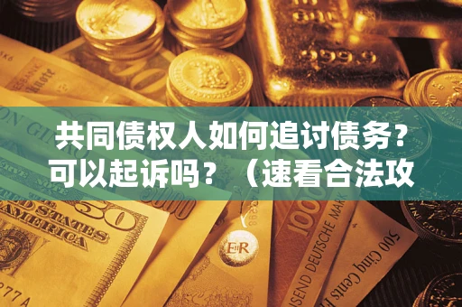 济南共同债权人如何追讨债务？可以起诉吗？（速看合法攻略）