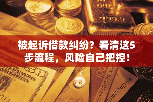 济南被起诉借款纠纷？看清这5步流程，风险自己把控！
