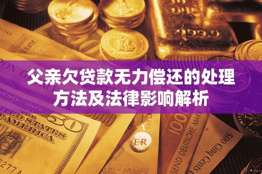 济南父亲欠贷款无力偿还的处理方法及法律影响解析
